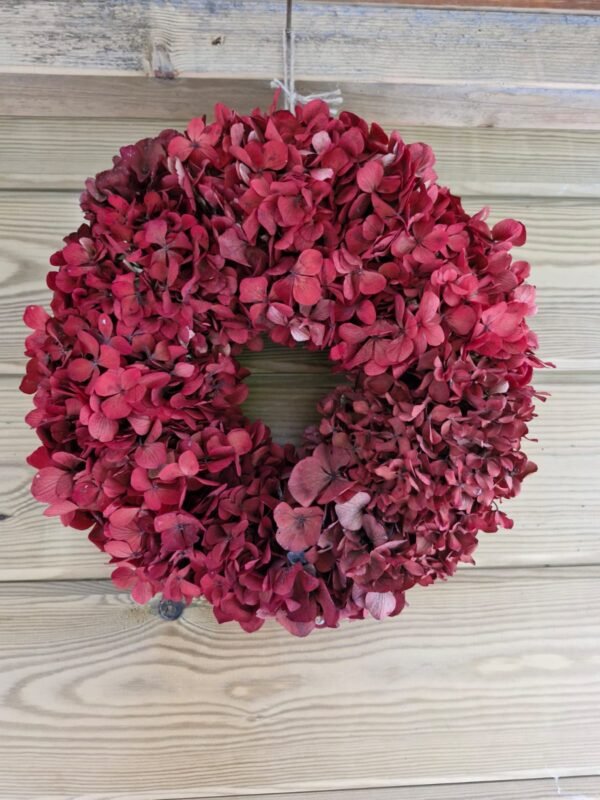 Corona "Red Wine" preservada