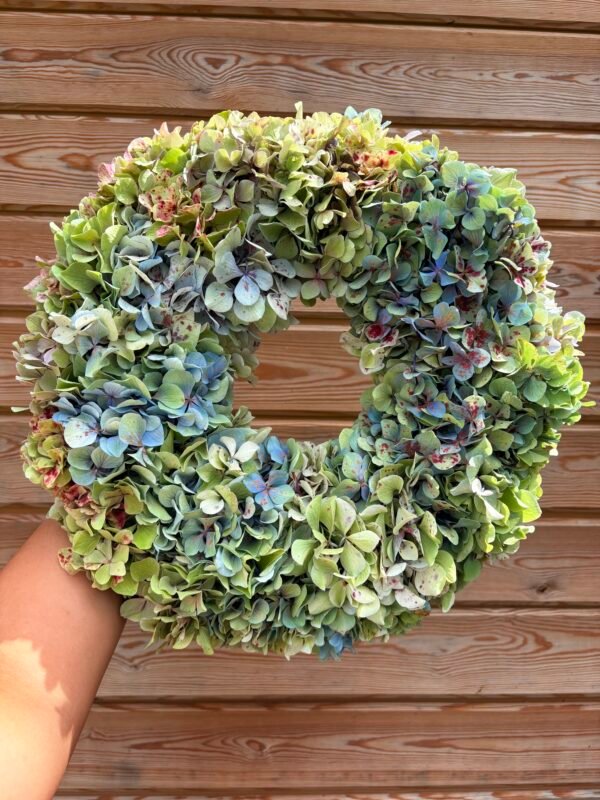 IMG_5074 Corona Galicia