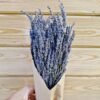 Lavanda seca