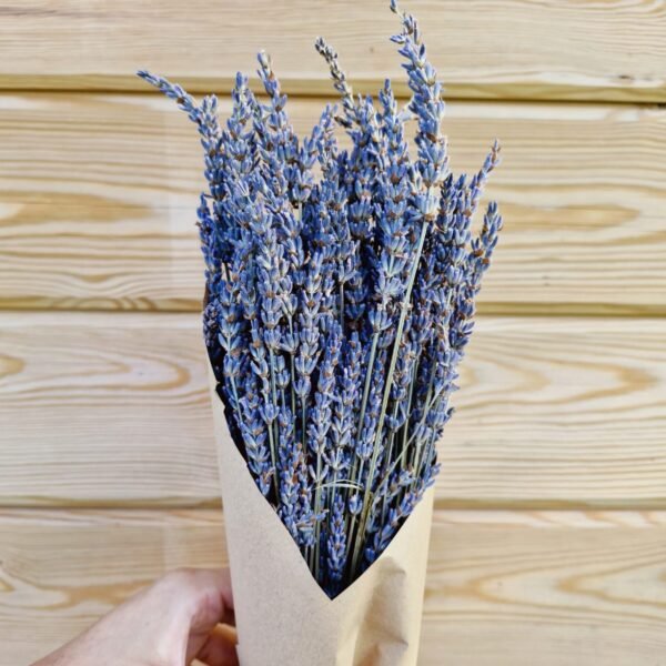 Lavanda seca