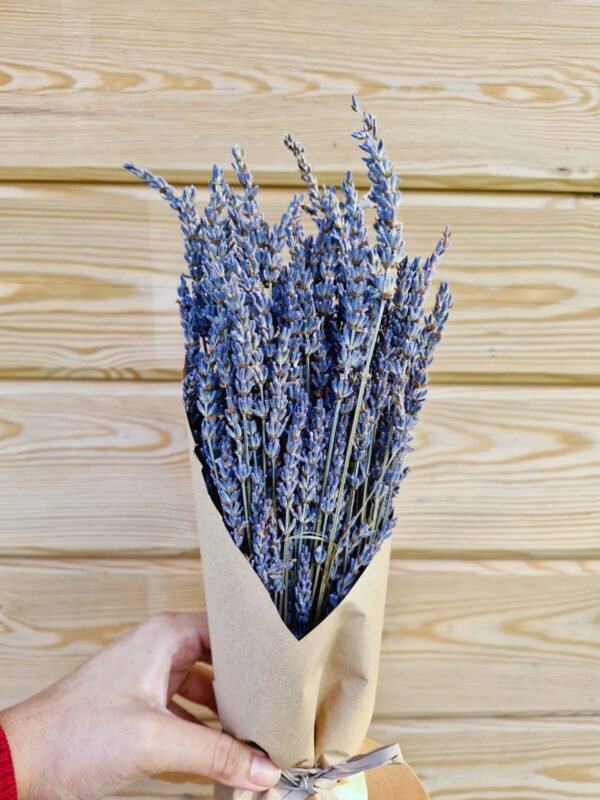 Lavanda seca