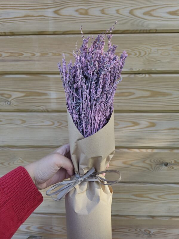Lavanda seca