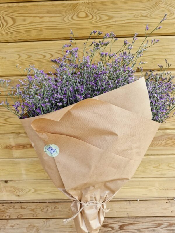 Paquete de limonium XXL