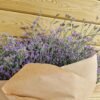 Paquete de limonium XXL
