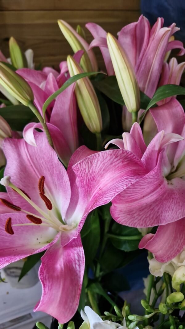 Lilium oriental. 10 tallos.