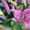 Lilium oriental. 10 tallos.