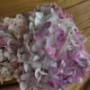 Hortensia Epifanía por unidad