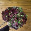 "Primavera" Hortensias por unidad