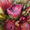 Ramo Protea Mía