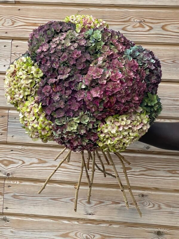 Hortensia doble pétalo para secar