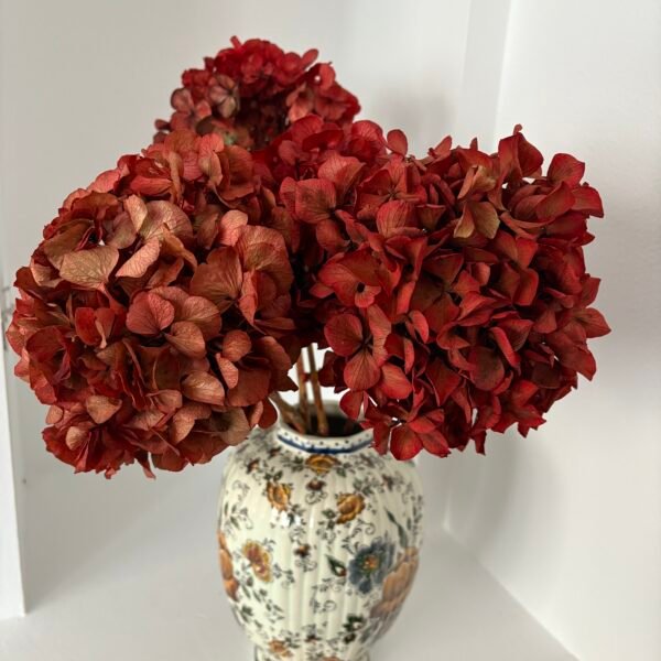IMG_8076 Hortensia preservada roja por unidad (preventa anticipada)