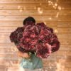 Edited in Tezza with: Mood Hortensia otoñal granate intenso (para secar)