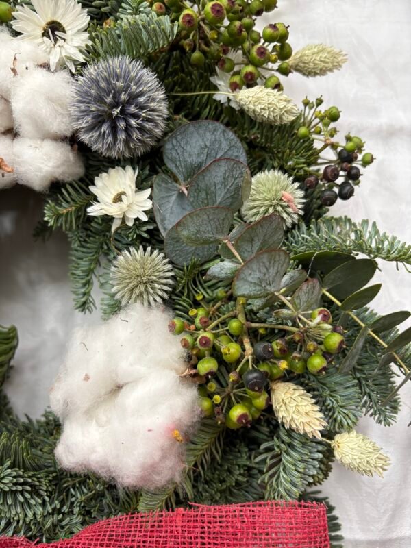 "Mara" Corona navideña