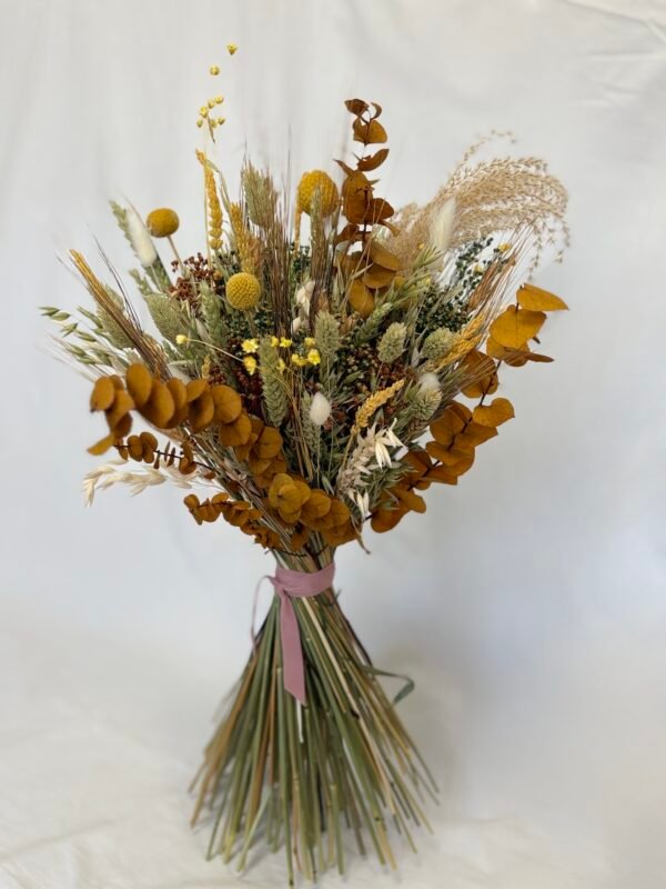 Ramo Manoliña, seco y preservado