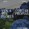 Taller floral - 2 Taller de cosechar tus propias hortensias