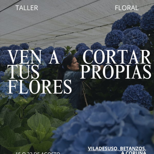 Taller floral - 2 Taller de cosechar tus propias hortensias
