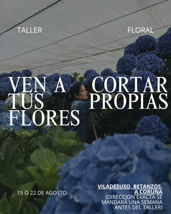 Taller floral - 2 Taller de cosechar tus propias hortensias