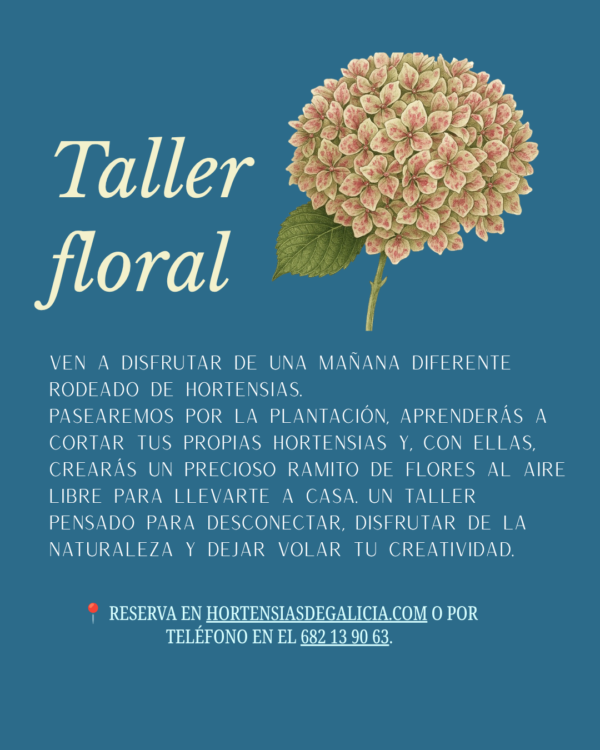 Taller floral - 3 Taller de cosechar tus propias hortensias