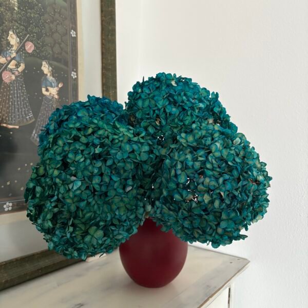 Hortensia preservada turquesa