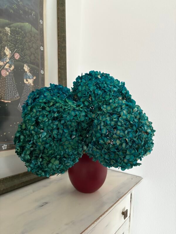 Hortensia preservada turquesa