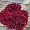 f28672f3-d107-48cd-ac88-0aaed18016dd Hortensia preservada “cereza ácida” por unidad