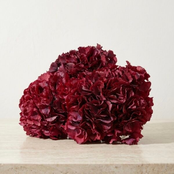 Screenshot Hortensia preservada “cereza ácida” por unidad