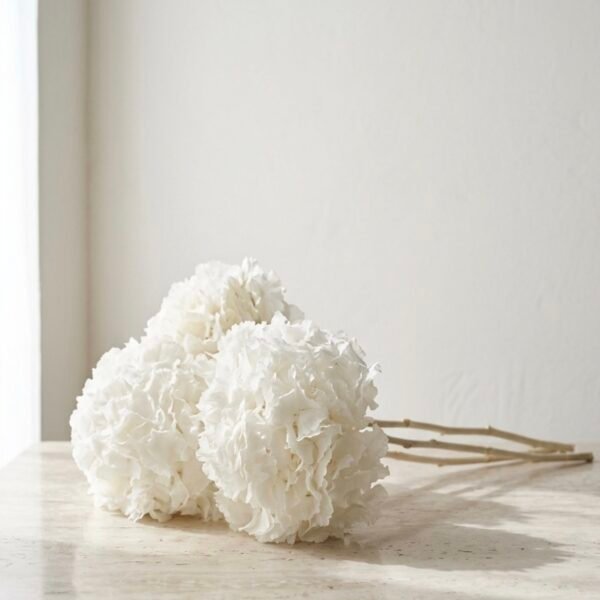 “Nevada” Hortensia preservada blanca por unidad